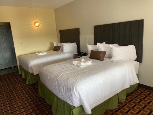 two beds in a hotel room with flowers on them at HomeStay Inn & Suites Edinburg in Edinburg