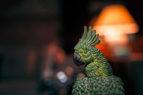 a figurine of a green parrot is shown at Hôtel des Deux Clefs in Turckheim