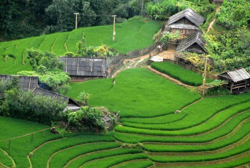 a village on a hill with green grass at Nusmile's Hostel and Travel in Hanoi