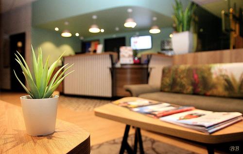 a potted plant sitting on a table in a store at B&B HOTEL Bordeaux Centre Gare Saint-Jean in Bordeaux