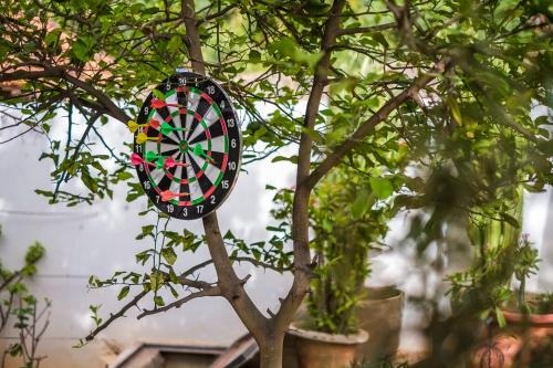 a dart board stuck in a tree at Keur Dofie in Toubab Dialaw