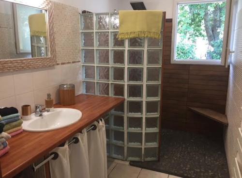 La salle de bains est pourvue d'un lavabo et d'un mur en verre. dans l'établissement Villa Soleil piscine, à Gujan-Mestras