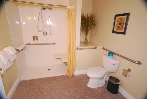 a bathroom with a tub and a toilet and a shower at Queen Anne in San Francisco