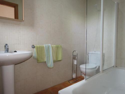 W łazience znajduje się prysznic, umywalka i toaleta. w obiekcie Casa Rey Rural Apartment w mieście Cómpeta