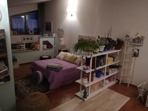 una camera con letto e scaffali con piante di Loft "Le Rosier" a Villar Perosa