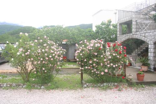 Fotografie z fotogalerie ubytování Apartments Savina v destinaci Budva