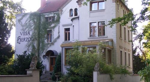 a large white house with a staircase in front of it at Hotel Villa Herzog in Dresden