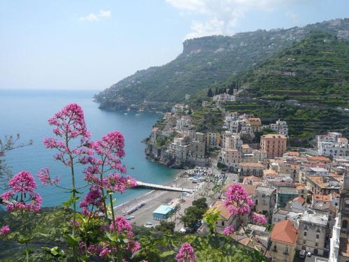a view of a city with pink flowers on a hill at Eden Holiday in Minori