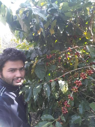 a man standing in front of a tree with berries at Begnas Coffee House & Hotel in Deorāli