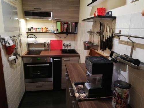 a small kitchen with a stove and a counter top at Appartement Schneerose in Tauplitz