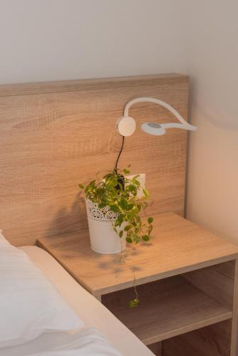 a plant sitting on a night stand next to a bed at Metro Apartments Vienna in Vienna