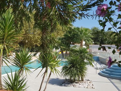 a resort with palm trees and a swimming pool at Mobile Home tout confort Séléna in Agde