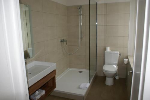 a bathroom with a shower and a toilet and a sink at Logis Hotel Du Chateau in Combourg