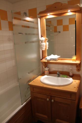 a bathroom with a sink and a shower and a mirror at Les Chalets du Galibier II in Valloire
