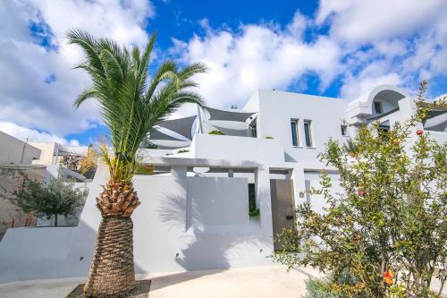 a palm tree in front of a white house at Marquise Suites - Adults Only in Fira
