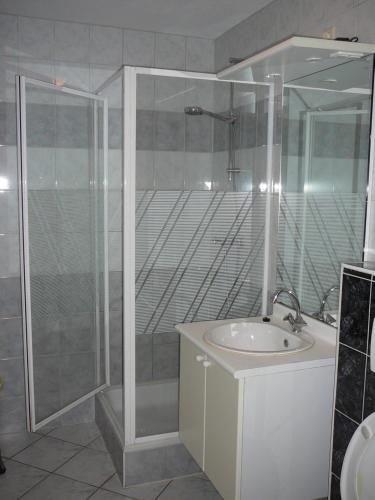La salle de bains est pourvue d'une douche et d'un lavabo. dans l'établissement Strandslag Zanddijk 149 Julianadorp aan Zee, à Julianadorp