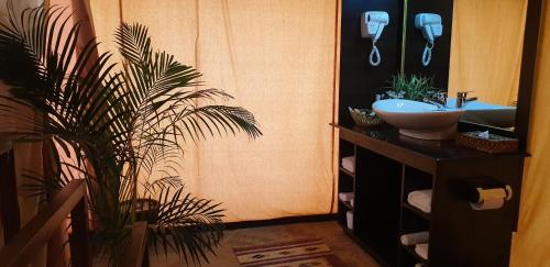 a bathroom with a sink and a potted plant at Fun Retreat Resort, Hotel and Ayurveda Spa in Arusha