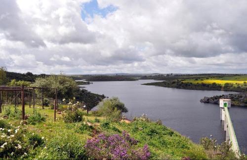 a view of a river with a bridge and flowers at Casa dos Tios Estremoz-veiros in Veiros