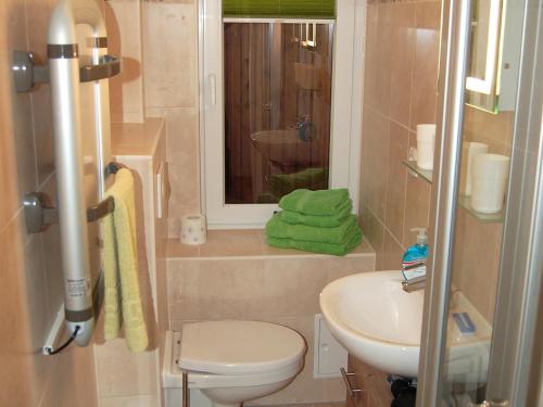 a small bathroom with a toilet and a sink at Ferienhaus H.Winkler in Neukalen