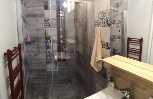 een badkamer met een douche en een glazen deur bij Green Apartament in Sovata