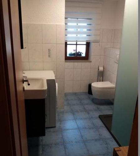 a bathroom with a sink and a toilet and a window at Ferienwohnung Wolf in Oberschöna