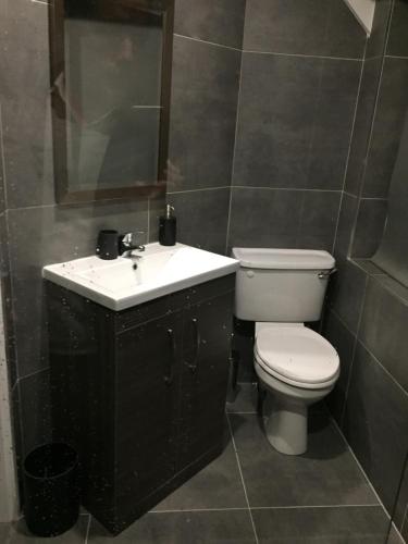 a bathroom with a toilet and a sink and a mirror at Four Winds,Kinsale Town,Exquisite holiday homes,sleeps 26 in Kinsale