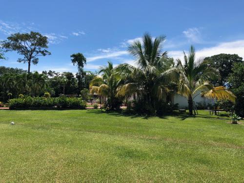 a lawn with palm trees in a park at Hotel Campestre Arboretto in Villavicencio