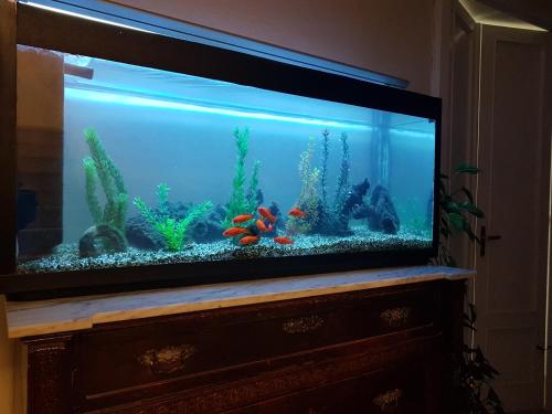 a large fish tank on top of a dresser at Marco's house in Dolianova