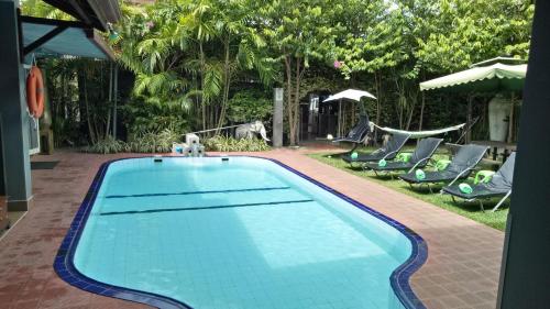 einen Pool im Garten mit Stühlen und Bäumen in der Unterkunft Palms Villa in Negombo