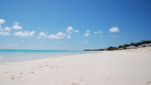 a view of a beach with footprints in the sand at Hotel Paradis d'Ouvéa in Fayaoué
