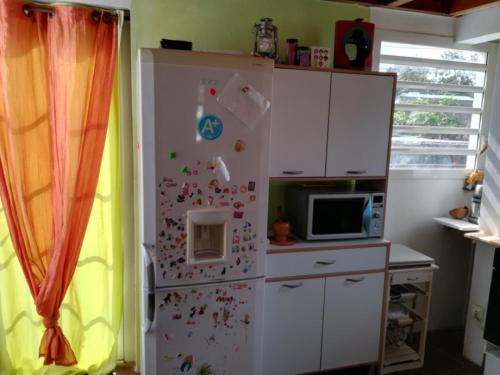 a kitchen with a refrigerator with magnets on it at Appartement le Citronnier in Sainte-Anne
