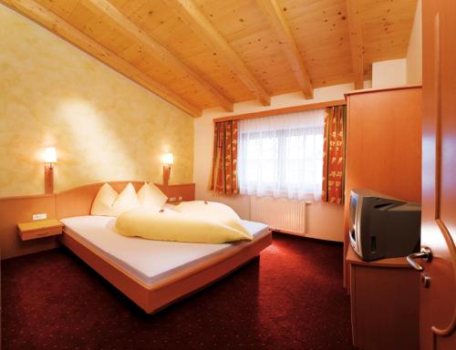 a bedroom with a bed and a tv in it at Apart Franz Josef in Stumm