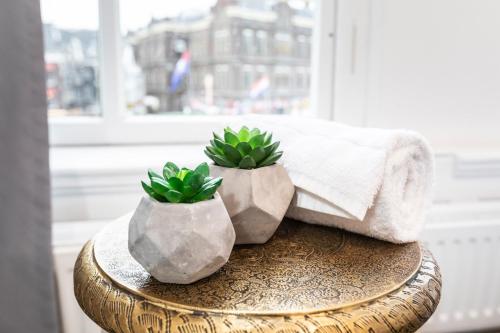 two plants in concrete pots sitting on a table at Hotel Pagi in Amsterdam