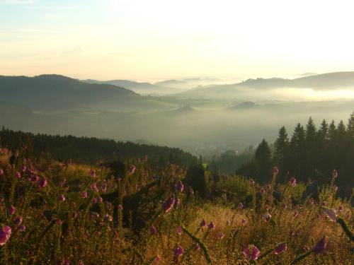 a view of a valley with a field of flowers at Hotel Hessenhof in Winterberg
