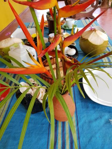 Φωτογραφία από το άλμπουμ του R&N Yellow House σε Hikkaduwa