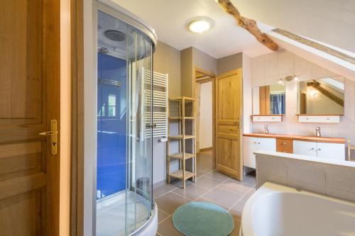 een badkamer met een douche, een toilet en een wastafel bij L'Hirondelle in Lantilly