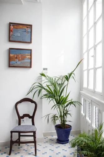 Suites Machado photo 16