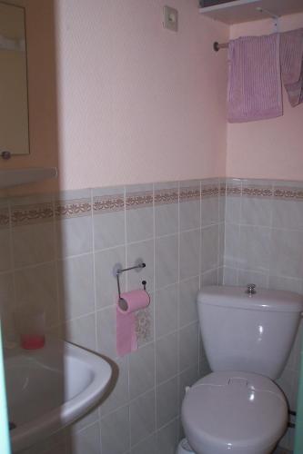 a bathroom with a white toilet and a sink at Le Moulin du Bignon in Lassy
