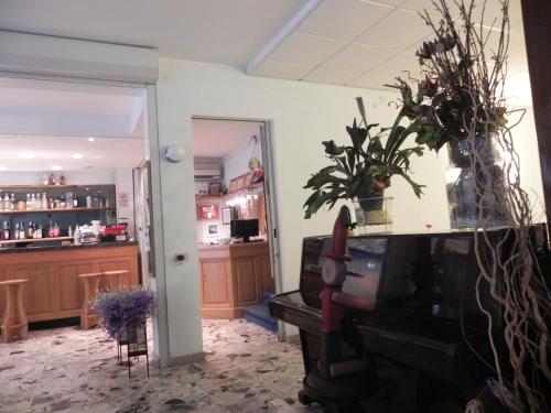 Hotel Antonella في كاورلي: غرفة بها طاولة عليها نباتات