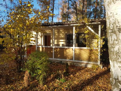 a small house in the middle of the woods at Gemutlicher Ferienbungalow am Felsensee bei Pretzien in Pretzien