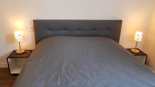 a bedroom with a large bed with two lamps at Au Pigeon Blanc in Andouillé