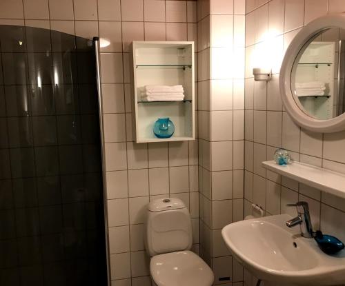 a bathroom with a toilet and a sink and a mirror at Arctic Sofia Riverstudio in Rovaniemi