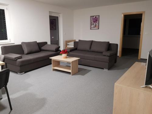 a living room with two couches and a coffee table at Apartmaji Janković in Logatec