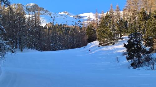 a person is skiing down a snow covered mountain at Les Fauvettes in Saint-Léger-les-Mélèzes