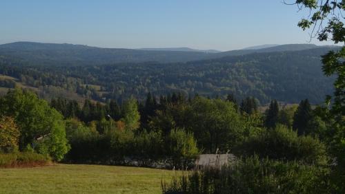 a field with trees and mountains in the background at Apartment Almberg in Mitterfirmiansreut