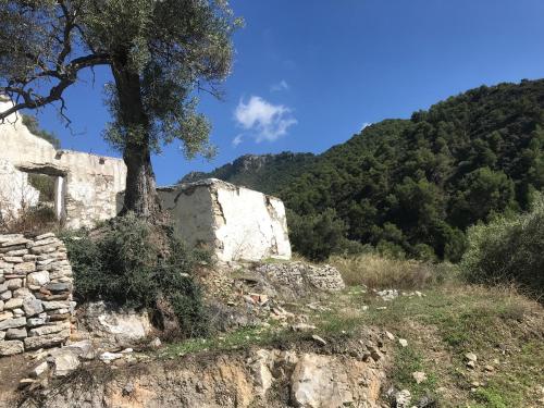 Gallery image of B&B the lost Village el Acebuchal in Frigiliana