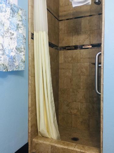 a shower with a shower curtain in a bathroom at Dolphin Cove Motel in Pismo Beach