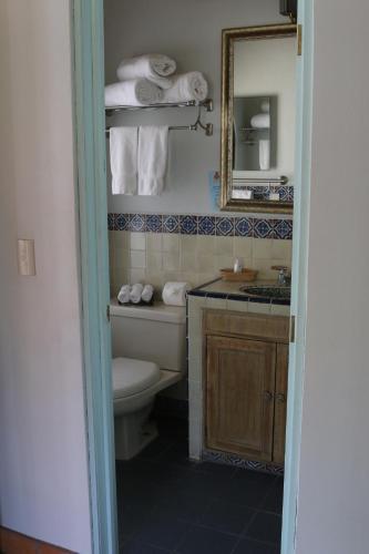 a bathroom with a toilet and a sink and a mirror at Hacienda del Lago Boutique Hotel in Ajijic