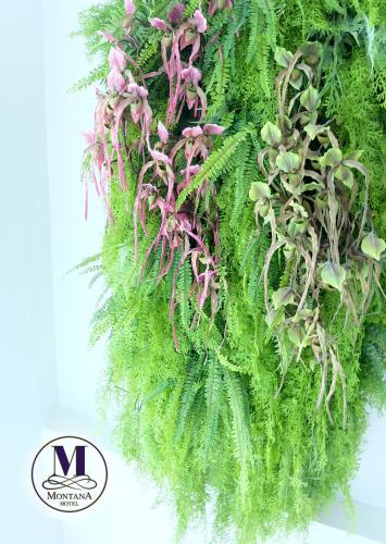 a bunch of green plants on a white background at Montana Hotel Songkhla in Songkhla
