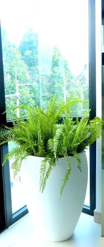 a plant in a white pot in front of a window at Montana Hotel Songkhla in Songkhla